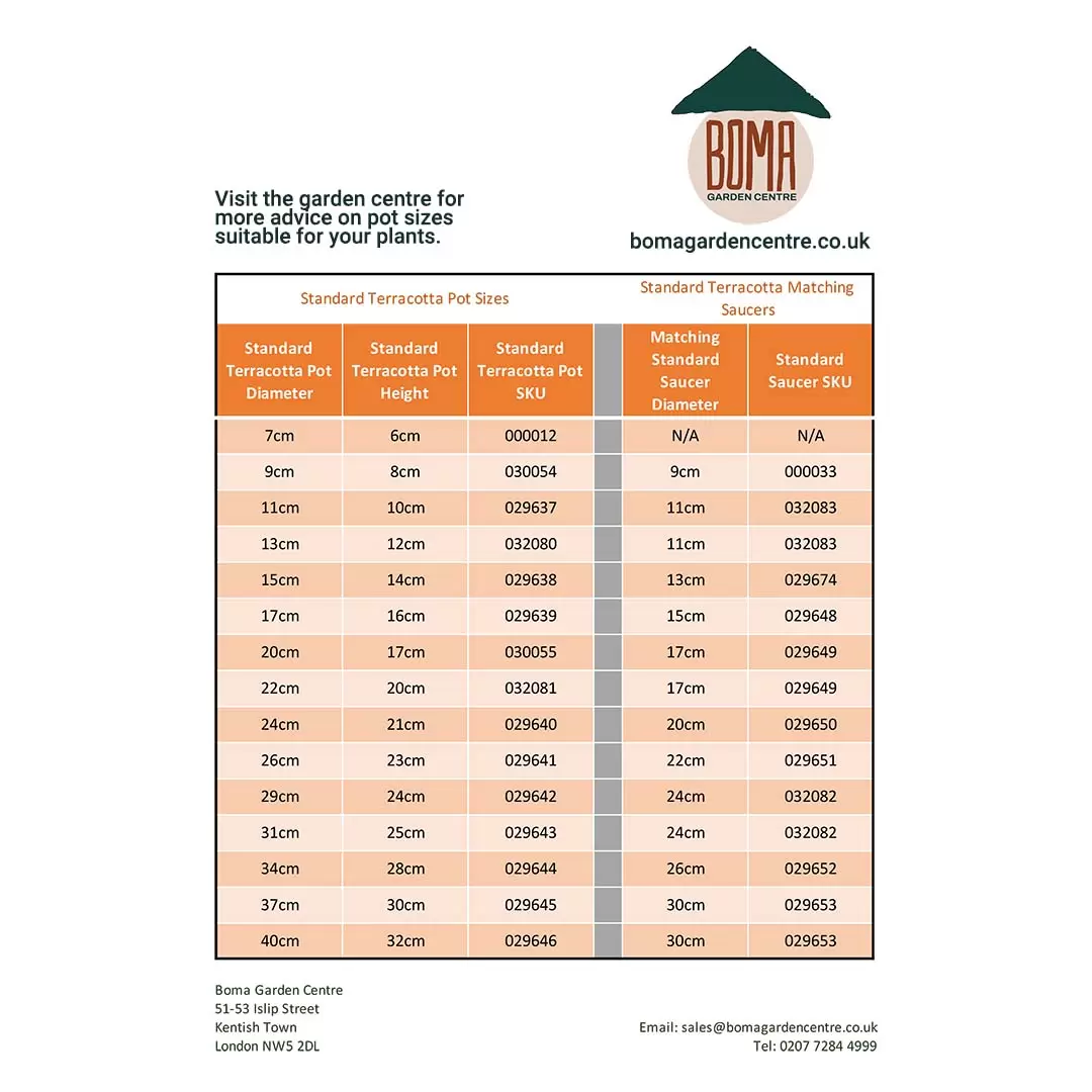 Standard Terracotta Pot Saucer Size