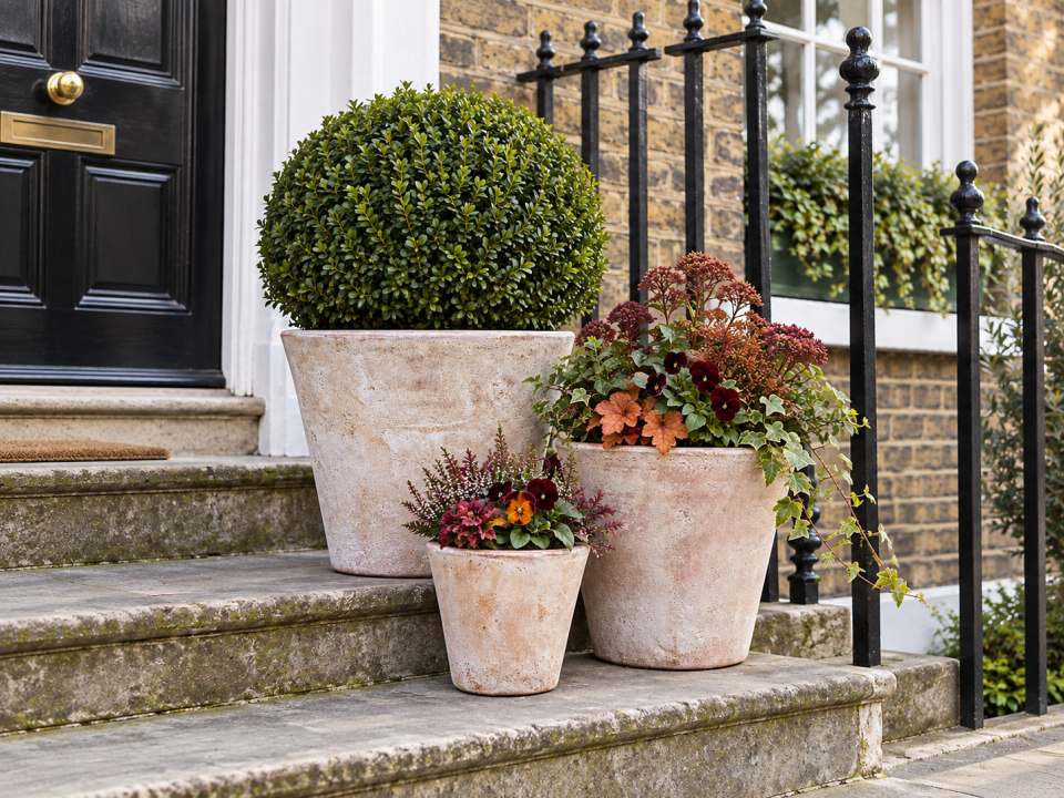 Handmade terracotta planters grouped on a period London front step