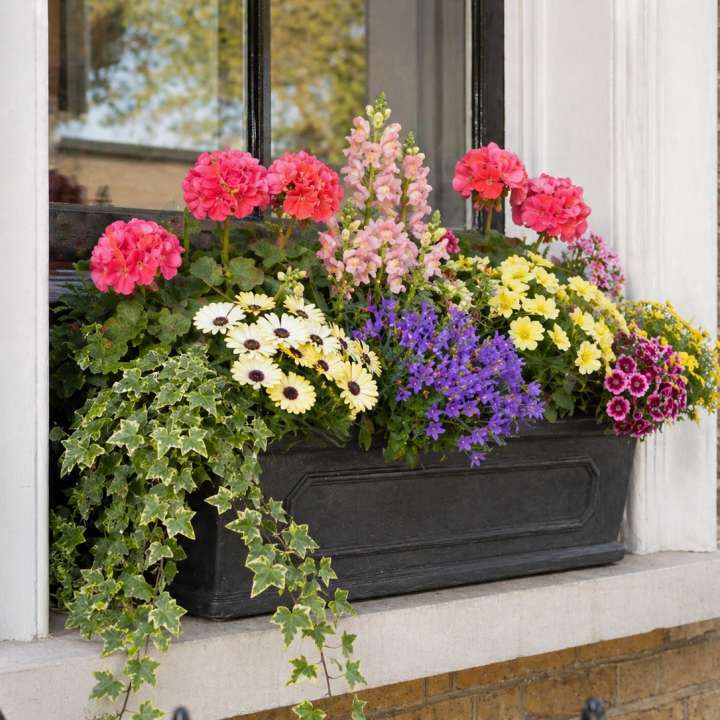 Window boxes for plants at Boma Garden Centre in Kentish Town, London