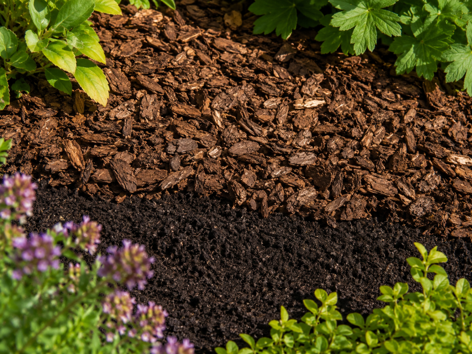 Two distinct mulch layers in a border: fine dark compost topped with a coarser layer of composted bark