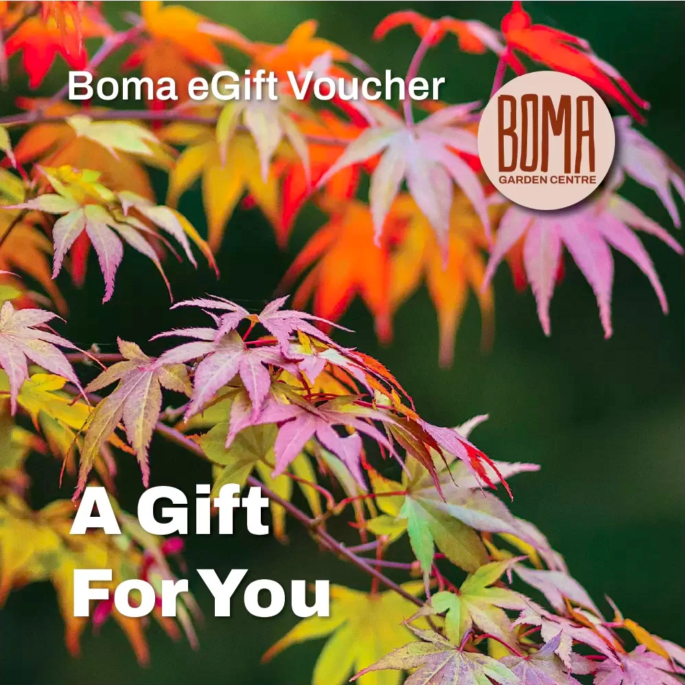 Gardening and plant eGift vouchers at Boma Garden Centre, Kentish Town