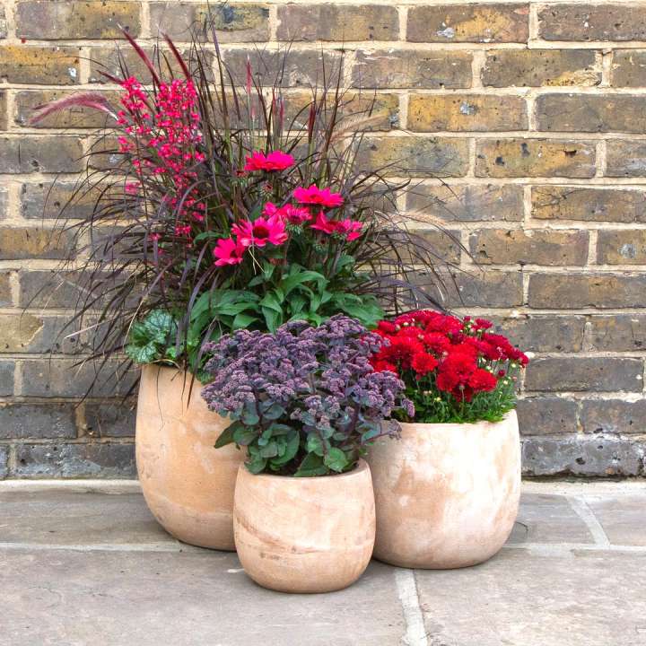 London's finest handmade pots & planters at Boma Garden Centre, Kentish Town