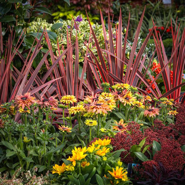 Boma garden design and planting service