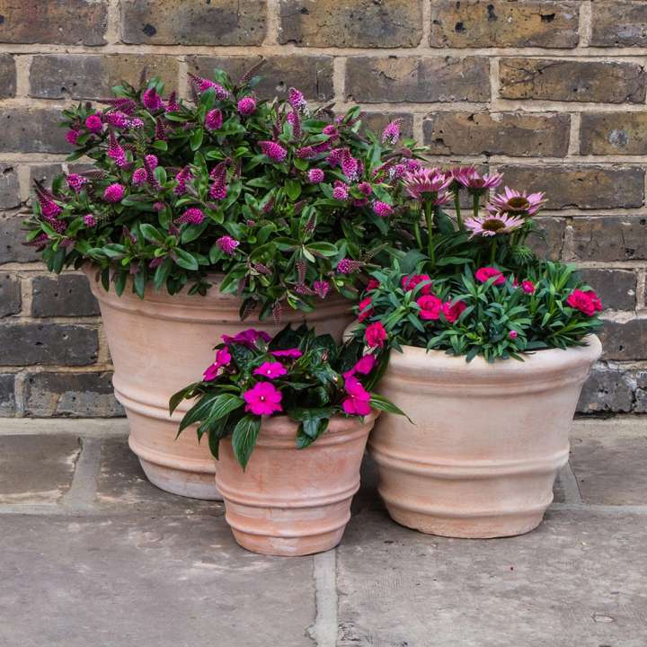 Pots and containers at Boma
