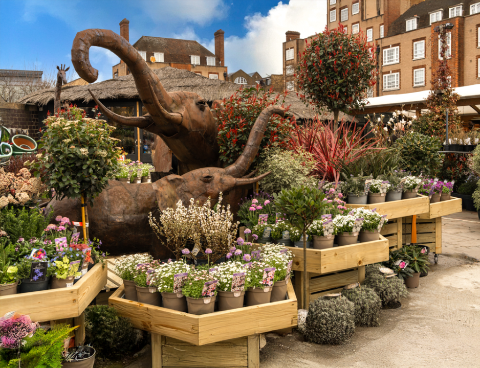 London's Gardening Oasis
