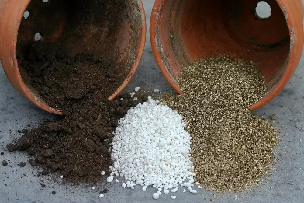 How to Incorporate Perlite and Vermiculite into Your Potting Mix