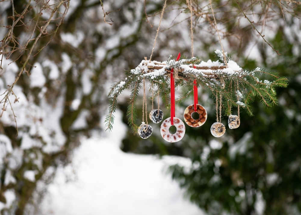 wild bird christmas ornaments