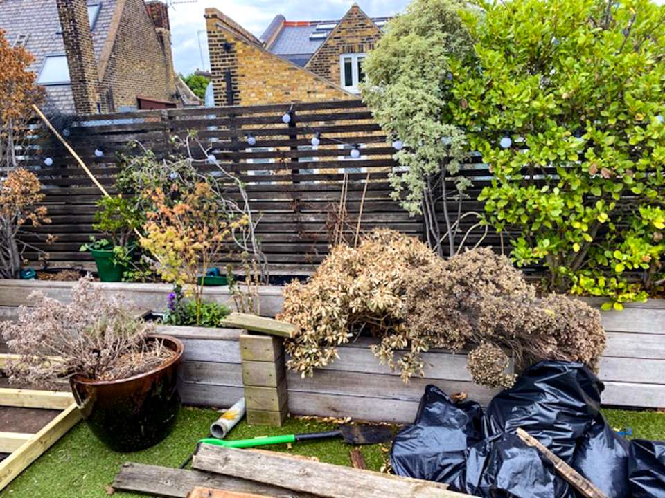 Rotten planters and dead planting before works began