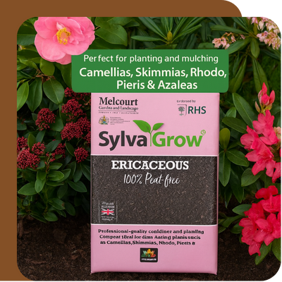 SylvaGrow Ericaceous 40L Offer