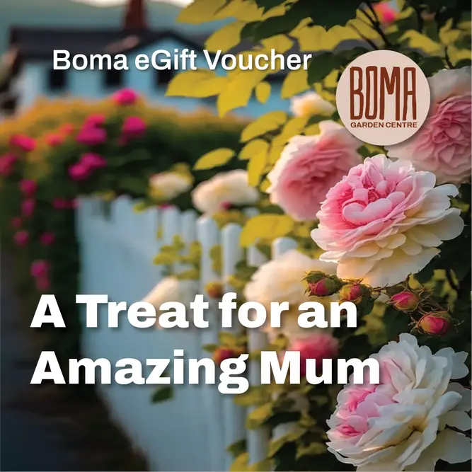 "A Treat For An Amazing Mum" eGift Voucher