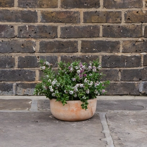 Aged Terracotta Handmade Bowl Planter (D23cm x H10cm) Outdoor Plant Pot - image 3