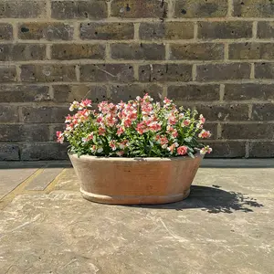 Alice Patina (W40XH14XD22.5cm) Outdoor Oval Trough Planter Plant Pot - image 4