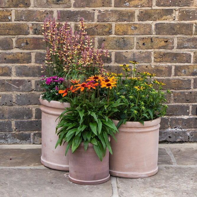 Antique Sand Cylinder Rim Stone Planter (D22 x H22cm) Terracotta Outdoor Plant Pot - image 3