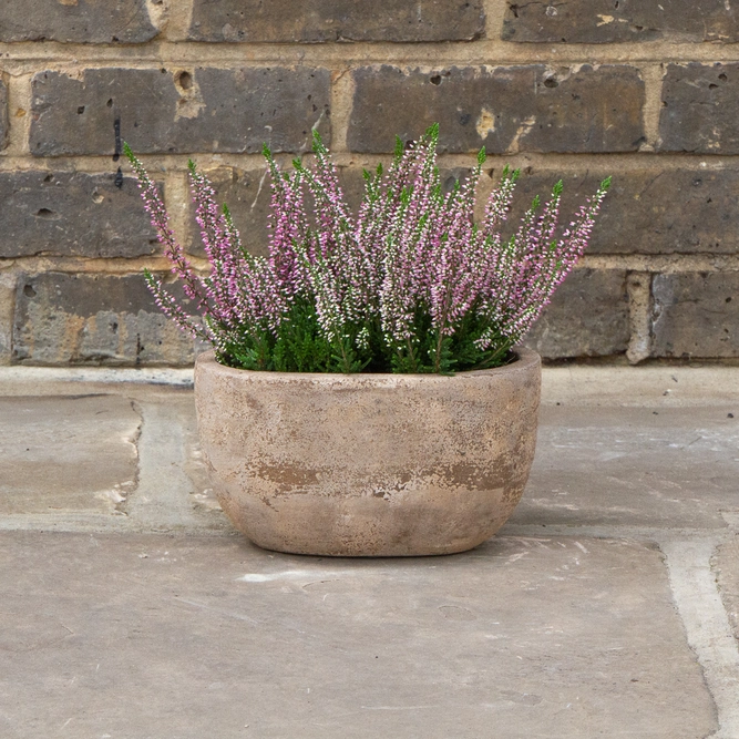 Antique Sand Handmade Oval Stone Trough (D23 x W13 x H12cm) Terracotta Outdoor Plant Pot - image 2