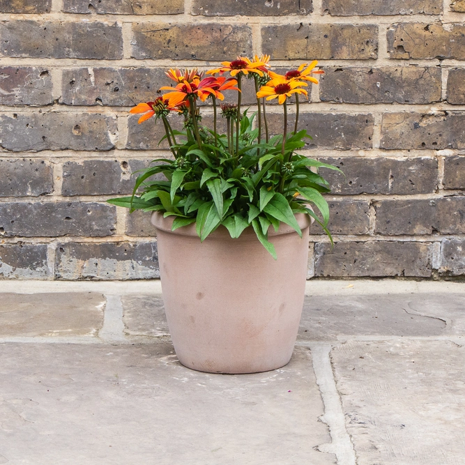 Antique Sand Single Rim Stone Planter (D25cm x H25cm) Terracotta Outdoor Plant Pot - image 3