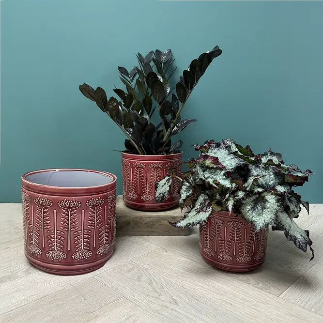 Berry Protea Pot (D15.5xH13.5cm) Berry Red Ceramic Plant Pot - image 2