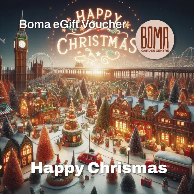 "Big Ben Christmas" eGift Voucher