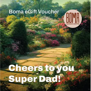 "Cheers to You Superdad" eGift Voucher