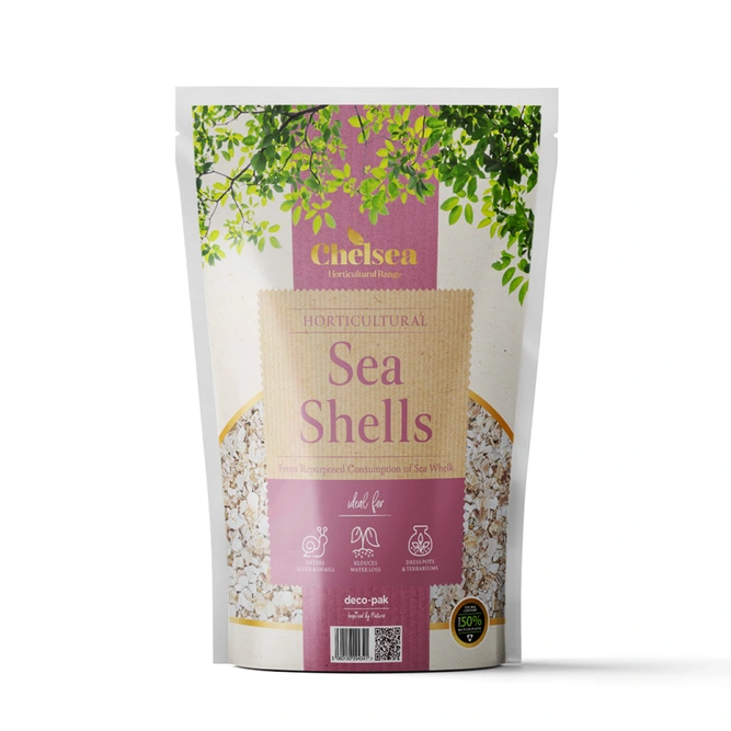 Chelsea Sea Shells Pouch - image 1