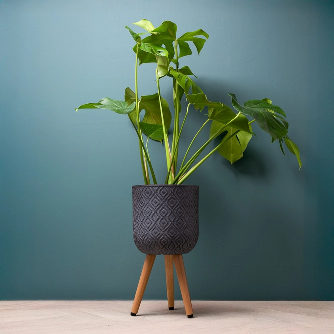 Diamond Pot on Legs Grey (D25cm x H47cm) Multi-use Indoor Plant Pot Cover On Legs - image 2