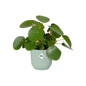 Elho Eco-Plastic Sorbet Green (Pot Size 7cm) Indoor Plant Pot Cover - image 3