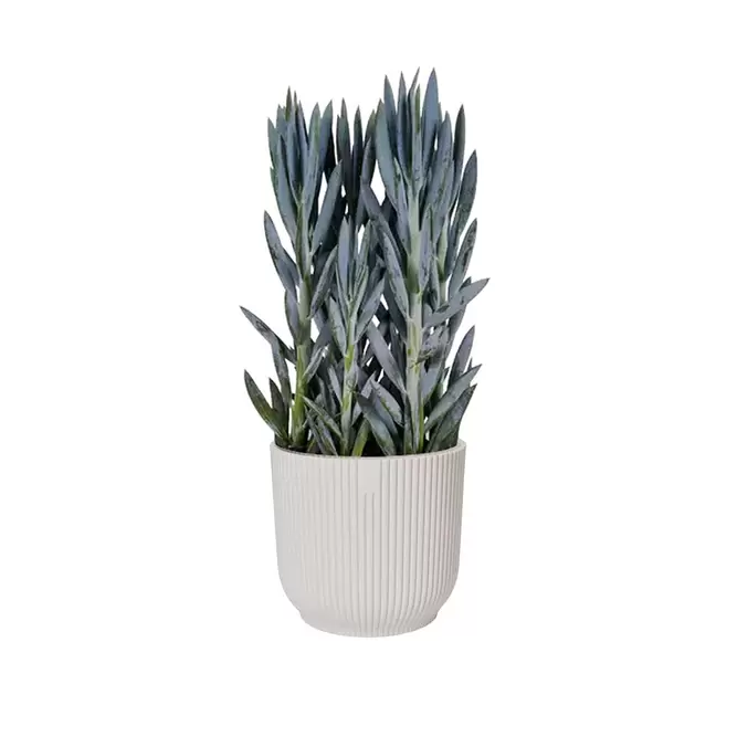 Elho Eco-Plastic White (Pot Size 7cm) Indoor Plant Pot Cover - image 4