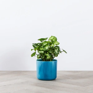 Elho Ocean Collection Blue (Pot Size 14cm) Indoor Plant Pot Cover - image 3