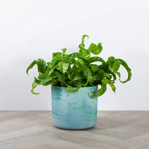 Elho Ocean Collection Green (Pot Size 22cm) Indoor Plant Pot Cover - image 4