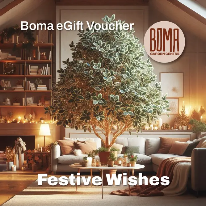 "Festive Wishes" eGift Voucher