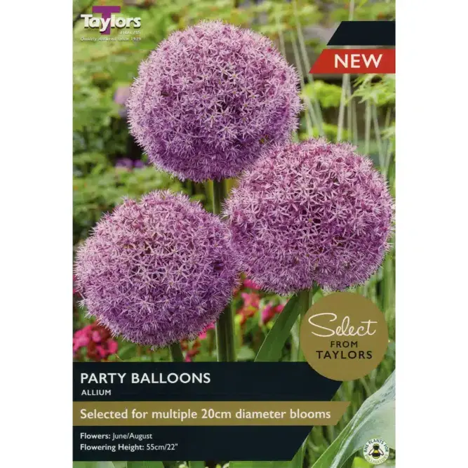 Flower Bulbs - Allium 'Party Baloons' (1 Bulb)