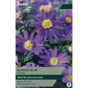 Flower Bulbs - Anemone 'Blanda Blue' (25 Bulbs) - image 1