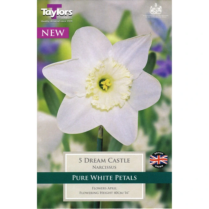 Flower Bulbs - Narcissus 'Dream Castle' (7 Bulbs)