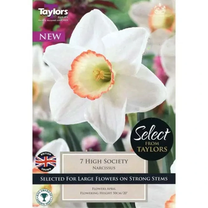 Flower Bulbs - Narcissus 'High Society' (7 Bulbs) - image 1