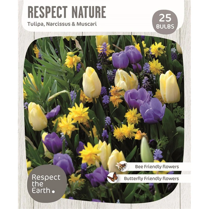 Flower Bulbs - Respect Nature - Tulips Narcissus Muscari (25 Bulbs)