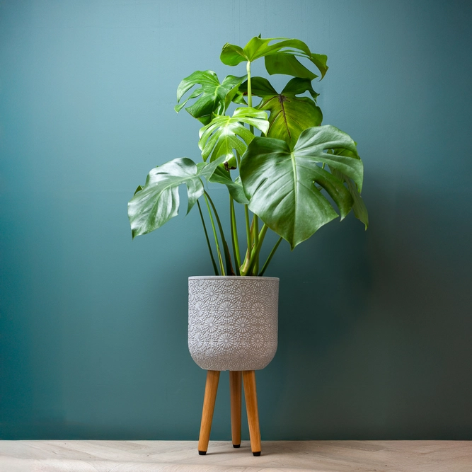 Flower Pot on Legs White (D25cm x H47cm) Multi-use Indoor Plant Pot Cover On Legs - image 3