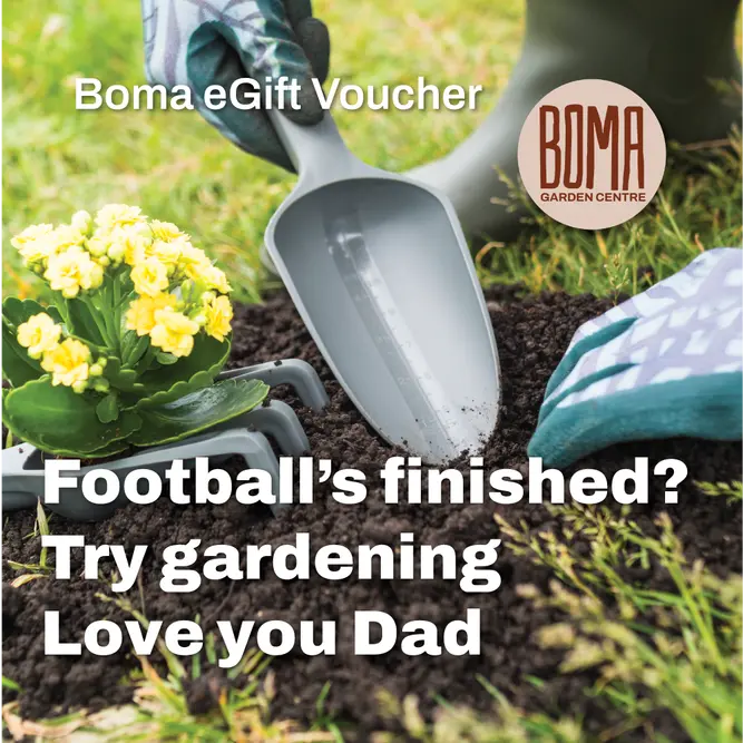 "Football's Finished Try Gardening Love You Dad" eGift Voucher