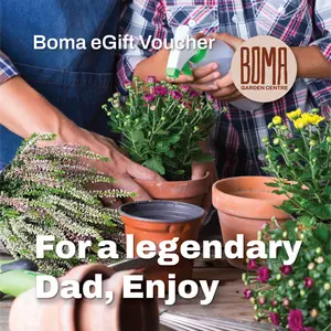 "For a legendaryDad, Enjoy" eGift Voucher