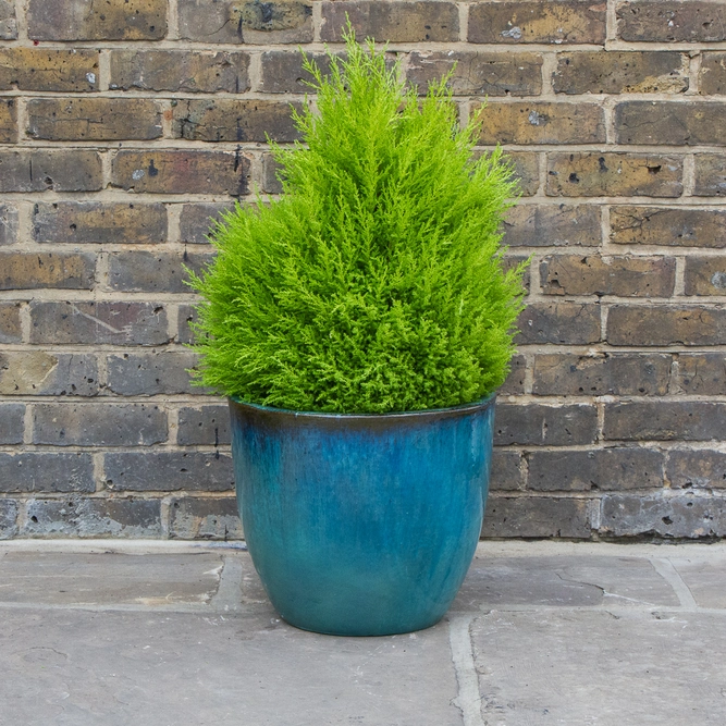 Glazed Aqua Egg Pot (D38cm x H32cm) Handmade Terracotta Planter Outdoor Plant Pot - image 3