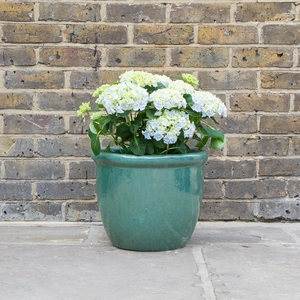 Glazed Aqua Green Rim HP001 (D40cm x H30cm) Handmade Terracotta Planter Outdoor Plant Pot - image 3