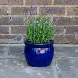 Glazed Blue Delta Rim (D28cmx24cm) Terracotta Planter Outdoor Plant Pot - image 2
