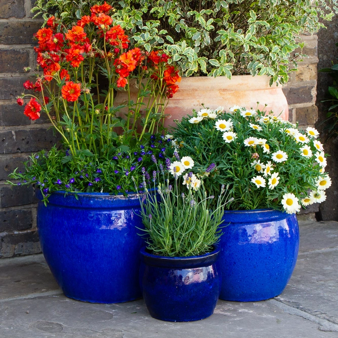Glazed Blue Delta Rim (D28cmx24cm) Terracotta Planter Outdoor Plant Pot - image 3
