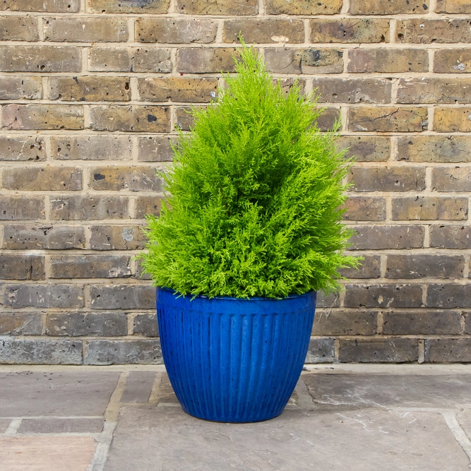 Glazed Blue Melon Egg Pot (D39cm x H31cm) Handmade Terracotta Planter Outdoor Plant Pot - image 3