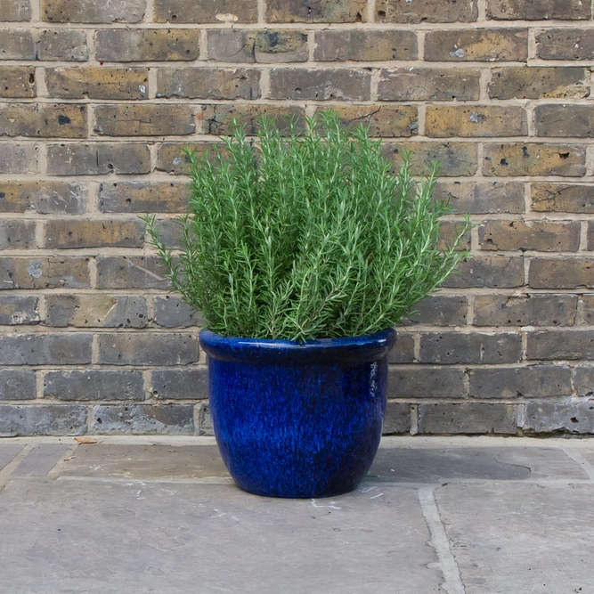 Glazed Blue Rim HP001 (D40cm x 30cm) Terracotta Planter Outdoor Plant Pot - image 3