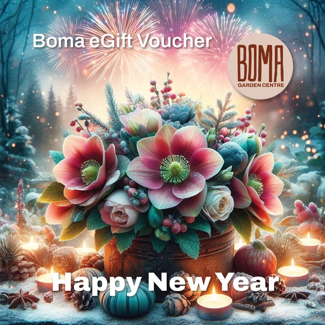 "Happy New Year" eGift Voucher