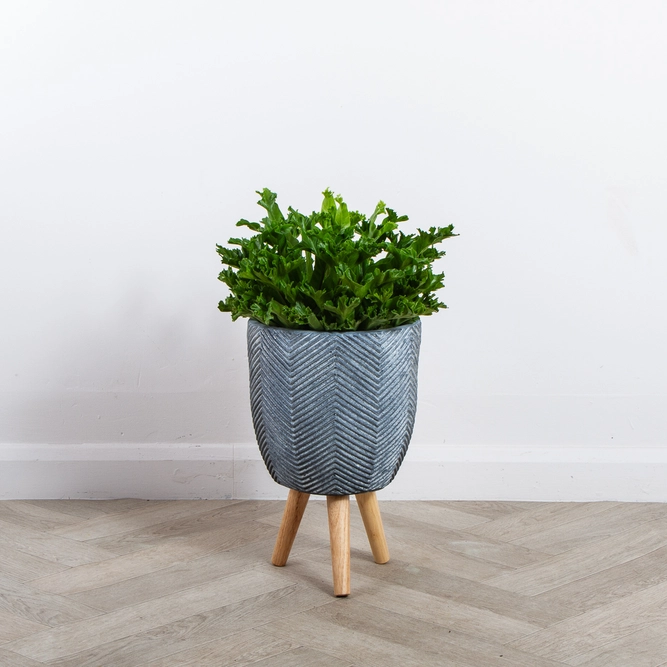 Iowa Pot Grey (D24cm x H40cm) Multi-use Indoor Plant Pot Cover On Legs - image 3