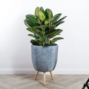 Iowa Pot Grey (D38cm x H55cm) Multi-use Indoor Plant Pot Cover On Legs - image 2