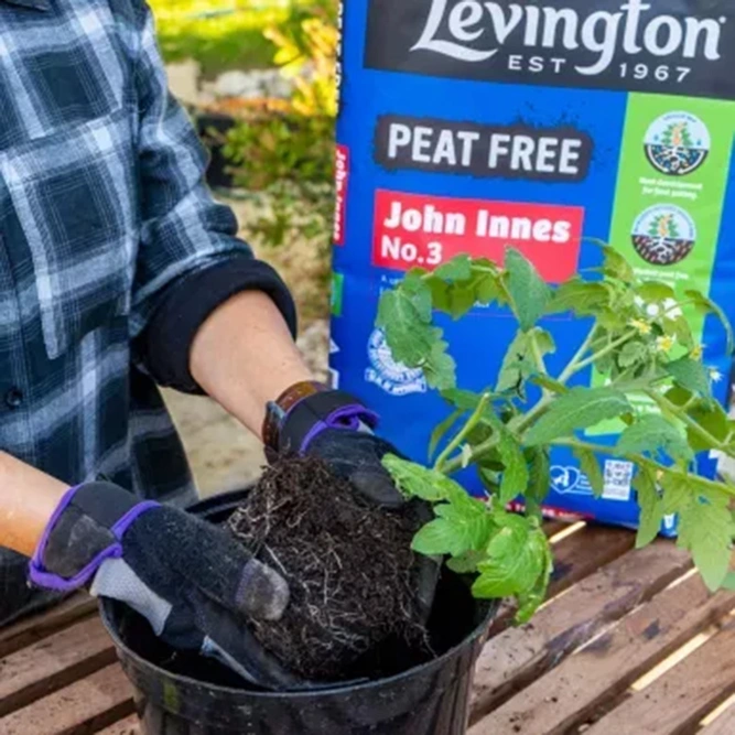 John Innes No3 Peat-Free Compost – For Mature Plants & Long-Term Growth - image 2