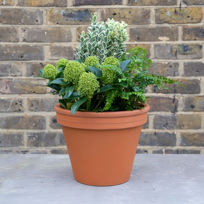 Kinder Scout Fragrant Planter