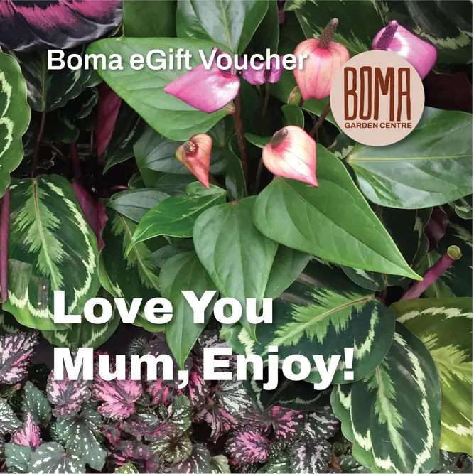 "Love You Mum, Enjoy!" eGift Voucher