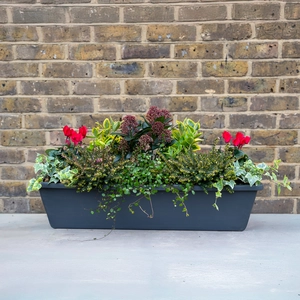 Moorland Edge Planter - image 2